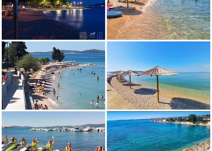 Javori * Bibinje